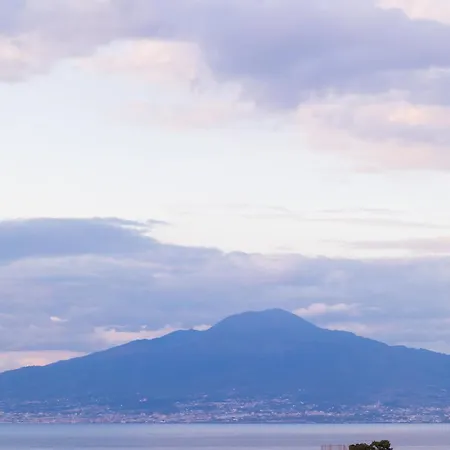 Yourhome - Olly House