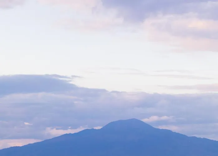 Yourhome - Olly House