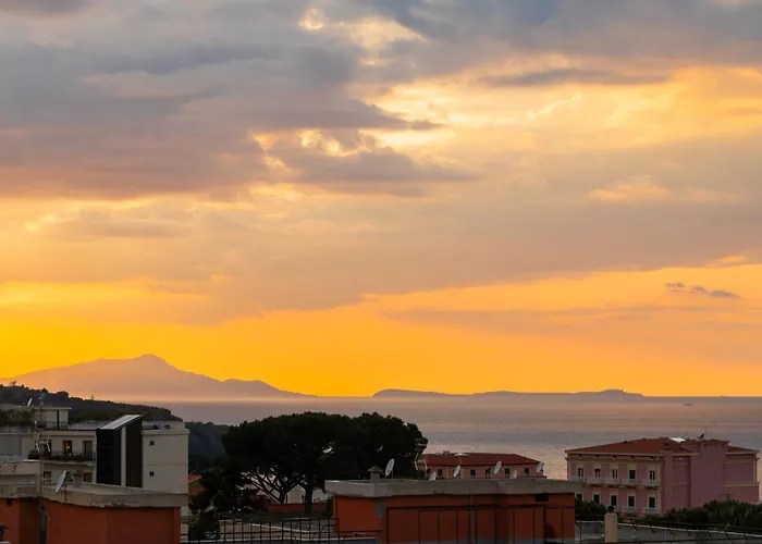 Yourhome - Olly House *